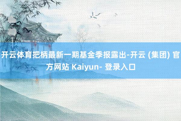 开云体育把柄最新一期基金季报露出-开云 (集团) 官方网站 Kaiyun- 登录入口