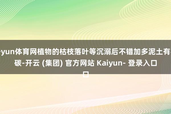 开yun体育网植物的枯枝落叶等沉溺后不错加多泥土有机碳-开云 (集团) 官方网站 Kaiyun- 登录入口