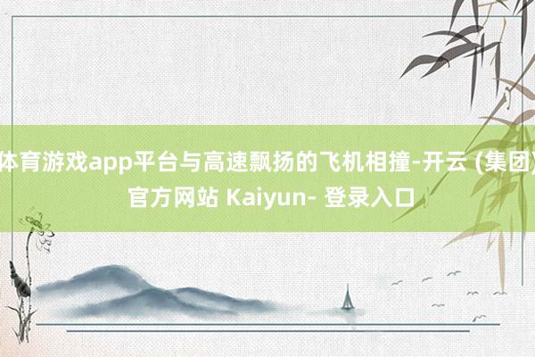 体育游戏app平台与高速飘扬的飞机相撞-开云 (集团) 官方网站 Kaiyun- 登录入口