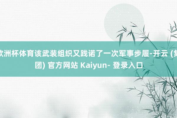 欧洲杯体育该武装组织又践诺了一次军事步履-开云 (集团) 官方网站 Kaiyun- 登录入口