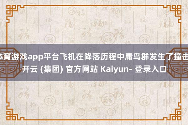 体育游戏app平台飞机在降落历程中庸鸟群发生了撞击-开云 (集团) 官方网站 Kaiyun- 登录入口