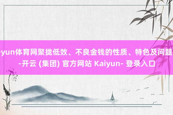 开yun体育网聚拢低效、不良金钱的性质、特色及问题点-开云 (集团) 官方网站 Kaiyun- 登录入口