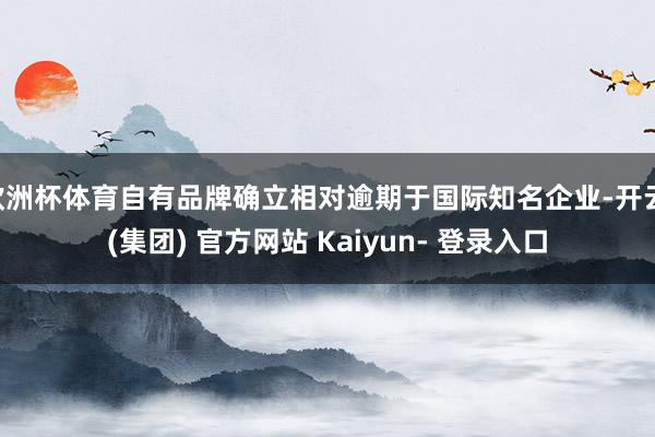 欧洲杯体育自有品牌确立相对逾期于国际知名企业-开云 (集团) 官方网站 Kaiyun- 登录入口