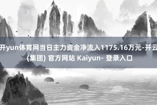 开yun体育网当日主力资金净流入1175.16万元-开云 (集团) 官方网站 Kaiyun- 登录入口
